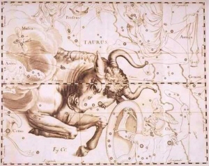 La costellazione del Toro in un’antica mappa del cielo